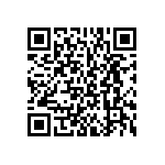 BKT-137-04-L-V-A-P QRCode