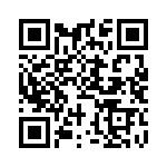 BKT-151-01-L-V QRCode