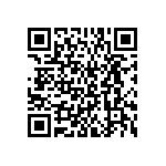 BKT-161-01-L-V-A-P QRCode