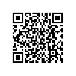 BKT-161-04-F-V-S-A-P QRCode