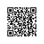 BKT-163-04-F-V-A QRCode