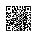 BKT-165-01-L-V-S-A QRCode