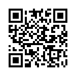 BT138-600-127 QRCode