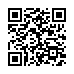 BZT52B36-G3-08 QRCode