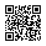 BZT55A5V6-GS08 QRCode