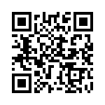 BZT55A8V2-GS08 QRCode