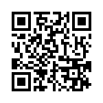 BZT55C33-L0G QRCode