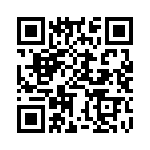 BZV01-Z0000-13 QRCode