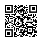 BZV55C20-L0G QRCode