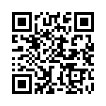 BZW04-256BHR0G QRCode