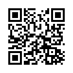 BZW04P13-E3-54 QRCode