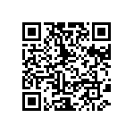 C0402C131M5JAC7867 QRCode