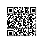 CA3102E32A55PF80 QRCode