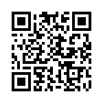 CE3290-33-333 QRCode