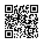 CSNE381 QRCode