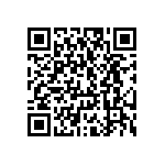 CW0053K600JE12HS QRCode