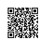 CW0104R300KE733 QRCode