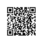 D55342E07B100BCWS QRCode