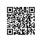 D55342E07B101ARWS QRCode