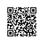 D55342E07B13B2RWS QRCode