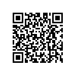 D55342E07B1B00PT1 QRCode