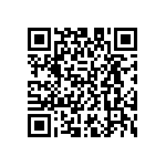 D55342E07B1E10RTP QRCode