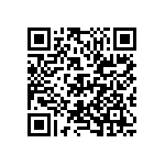 D55342E07B243ERWS QRCode