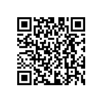 D55342E07B309ERWS QRCode