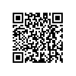 D55342E07B388BRWS QRCode