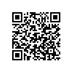 D55342E07B390ARWS QRCode