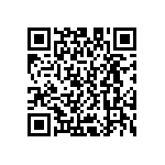 D55342E07B84B5RWS QRCode