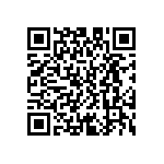 D55342E07B93D1RWS QRCode