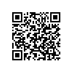 D55342H07B4B53PWS QRCode