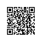 D55342K07B909ERWSV QRCode