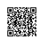 DBMT9W4P0L4A191K87 QRCode