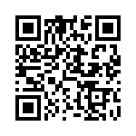 DF1-13A1-33 QRCode