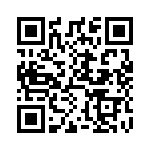 DL4002-13 QRCode