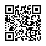 DM53742-1 QRCode