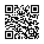 DP-101-E-P-J QRCode