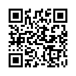 DPP480241 QRCode