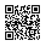 DS229_1A3 QRCode