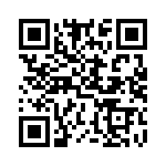 DTDG23YPT100 QRCode