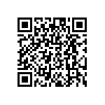 DW-02-07-T-S-217 QRCode