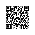 DW-02-13-T-T-1010 QRCode