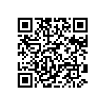 DW-10-09-T-S-384 QRCode