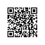 DW-12-09-L-S-300 QRCode