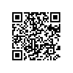 DW-12-13-T-S-760-010 QRCode