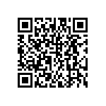 DW-13-11-G-D-530 QRCode