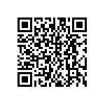 DW-13-11-G-S-655 QRCode