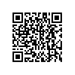 DW-20-13-L-D-975 QRCode